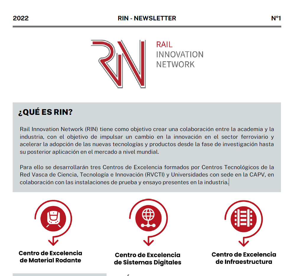 Newsletter n1. ¿Qué es RIN?